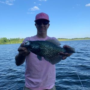 Meet your Posher, Noah